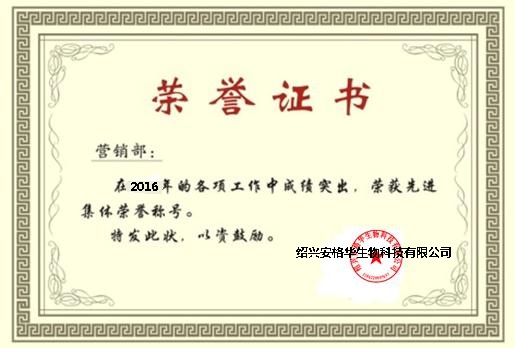 榮譽證書